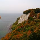 Kreidefelsen auf Rügen