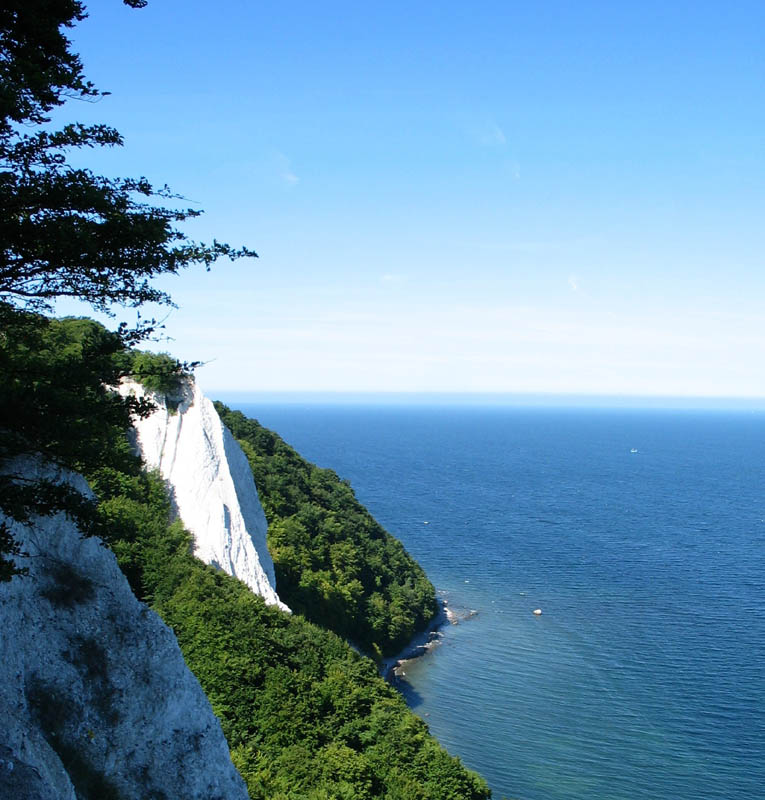 Kreidefelsen auf Rügen (3)