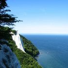 Kreidefelsen auf Rügen (3)