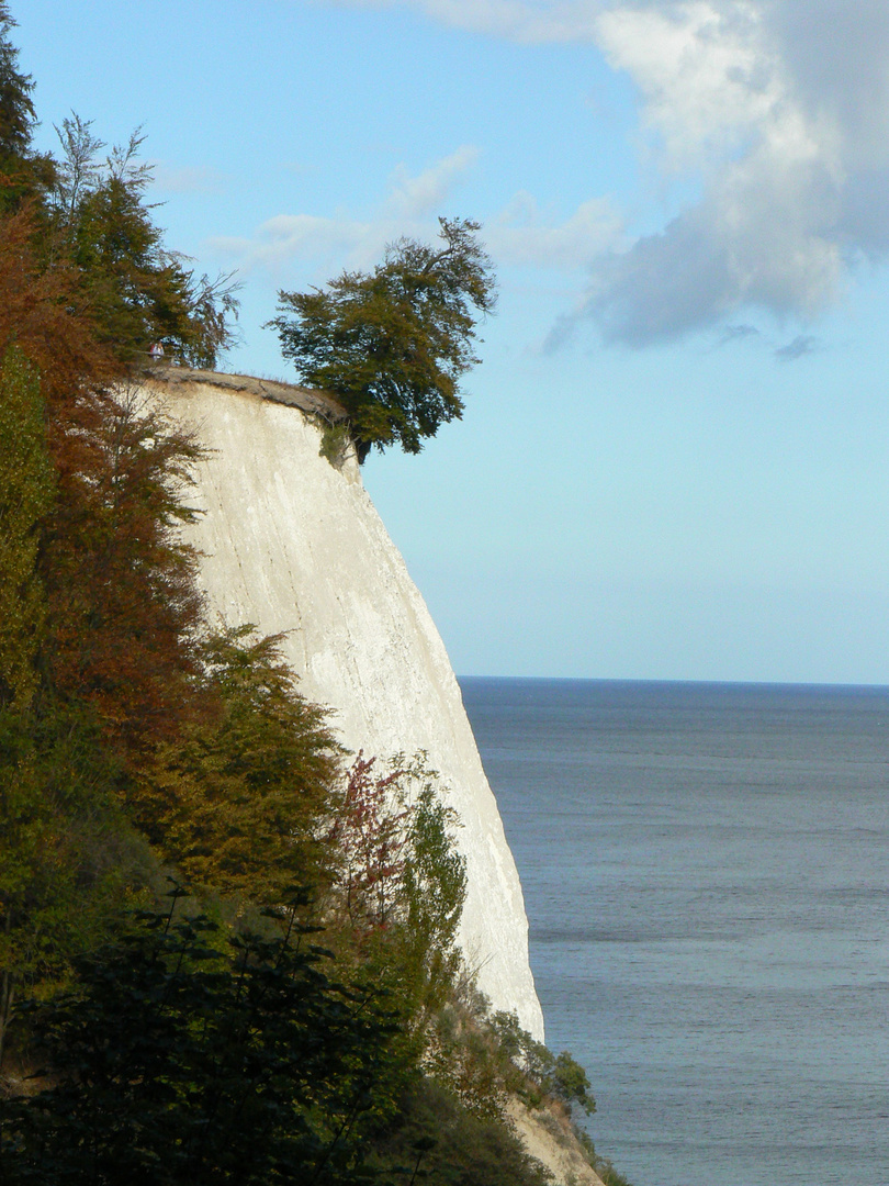 Kreidefelsen auf Rügen