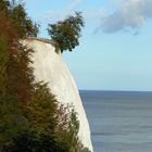 Kreidefelsen auf Rügen