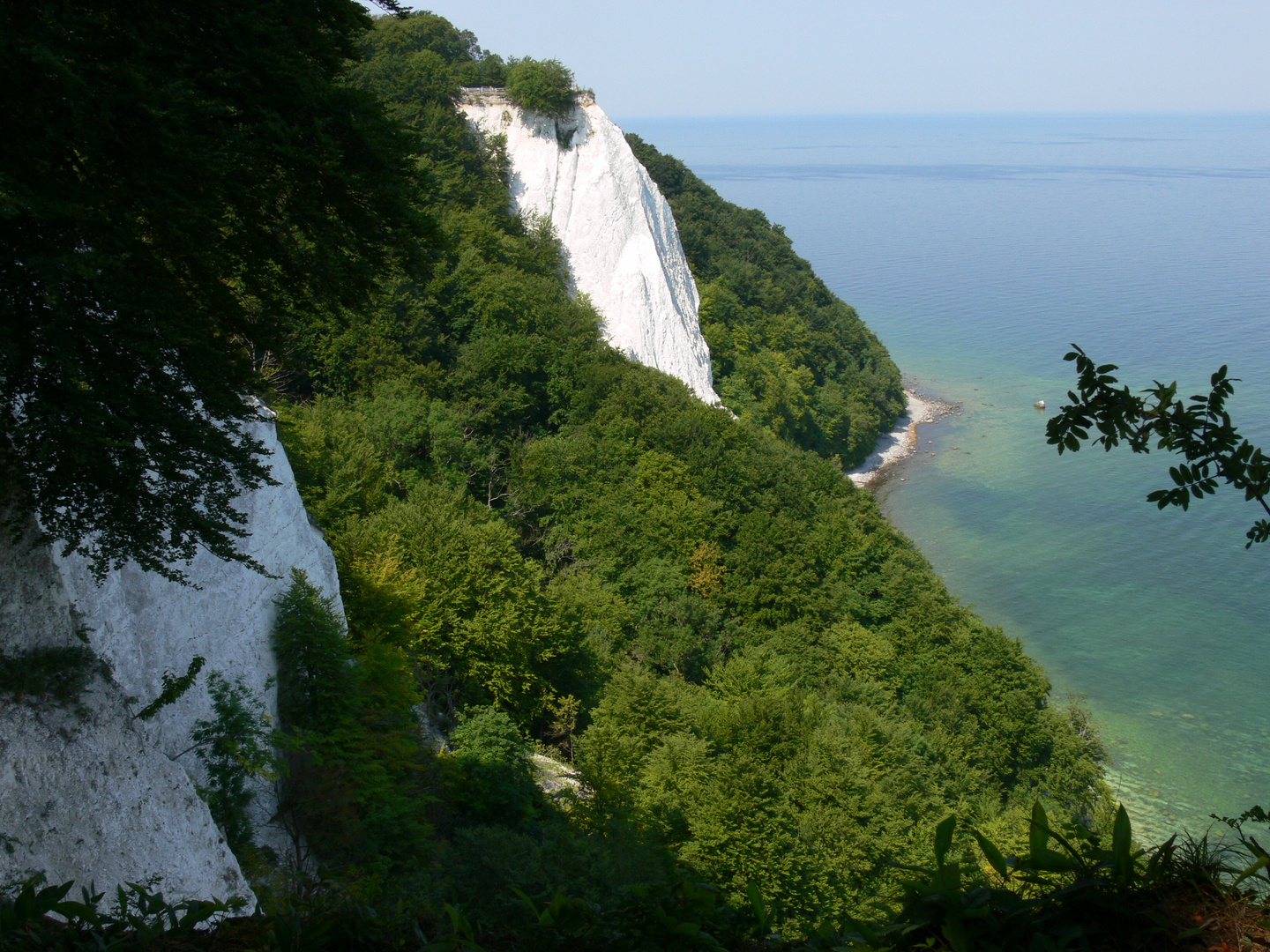 Kreidefelsen auf Rügen