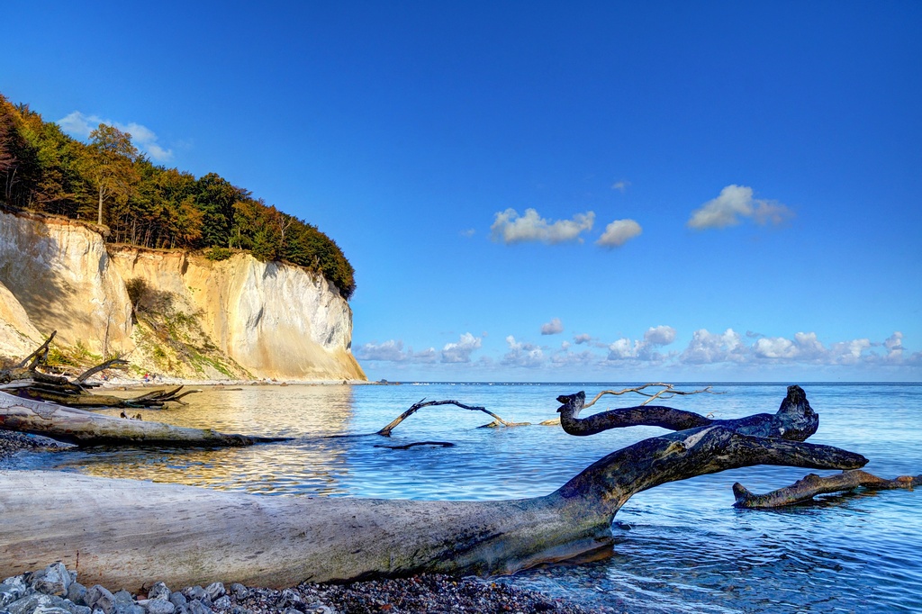 Kreidefelsen auf Rügen