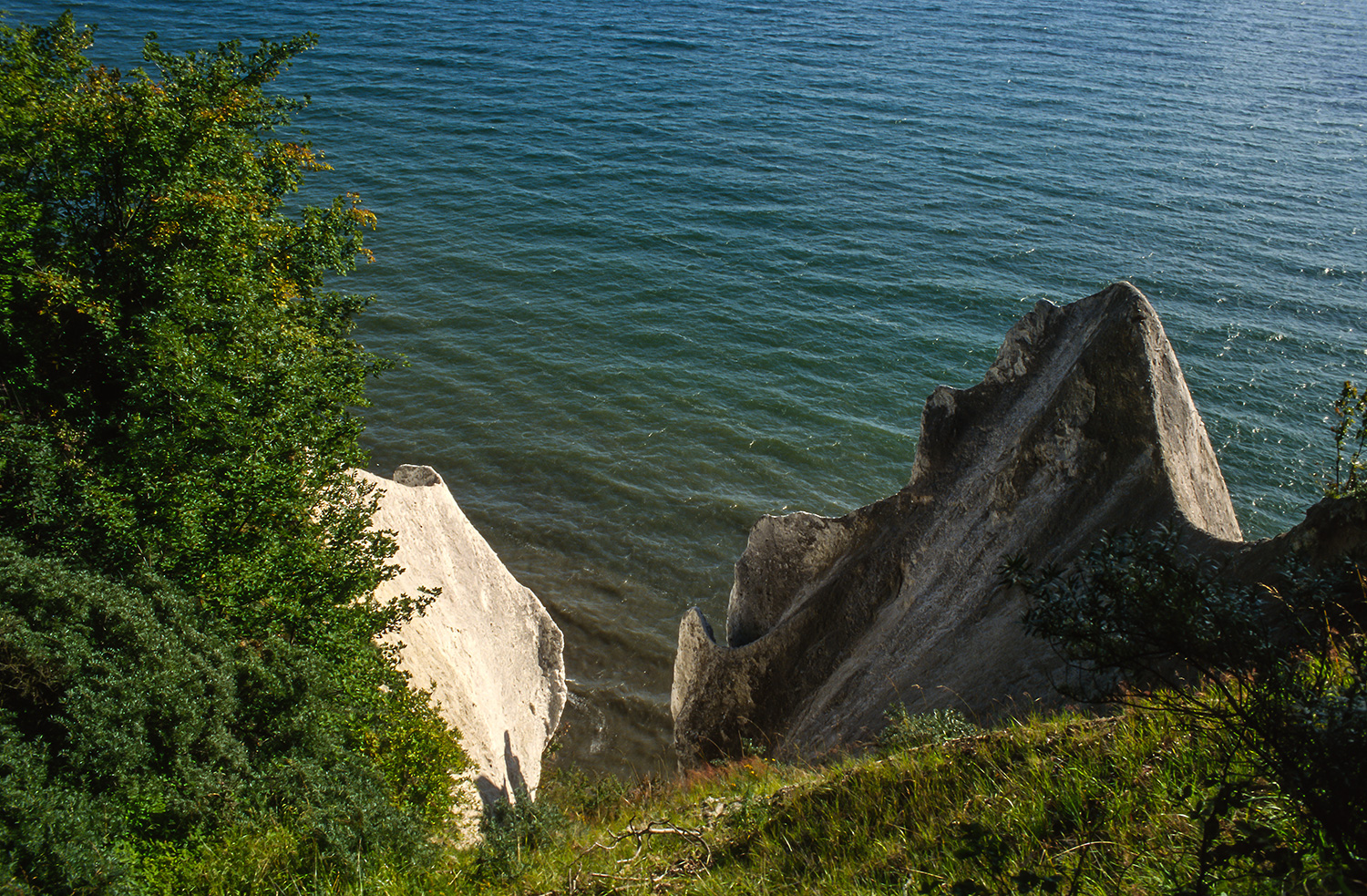 Kreidefelsen auf Rügen