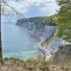 Kreidefelsen auf Rügen 