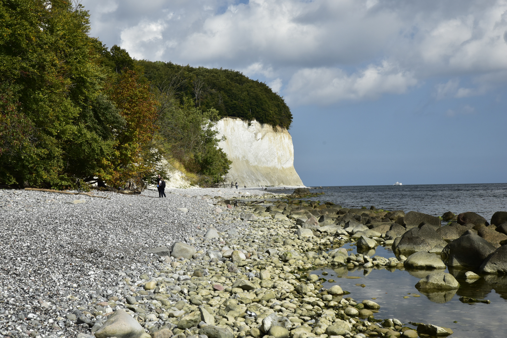 Kreidefelsen auf Rügen