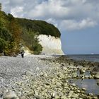 Kreidefelsen auf Rügen