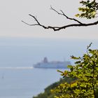 Kreidefelsen auf Rügen