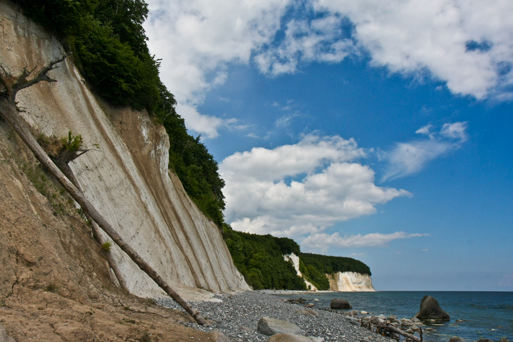 Kreidefelsen auf Rügen