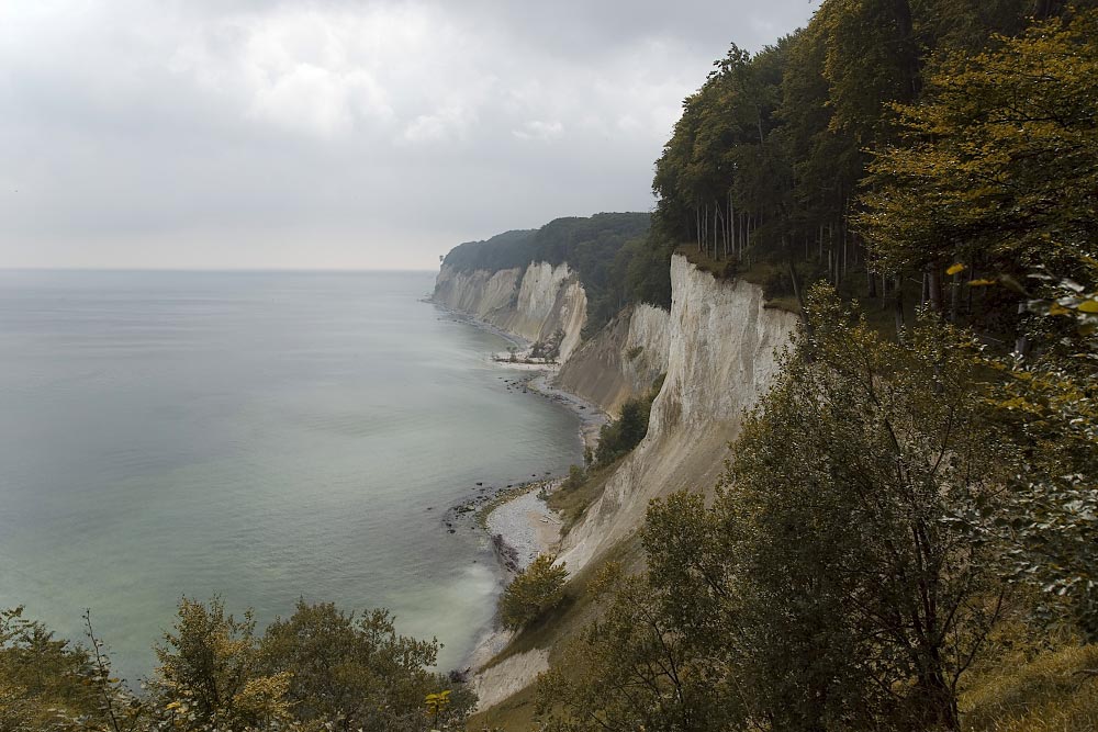 Kreidefelsen auf Rügen