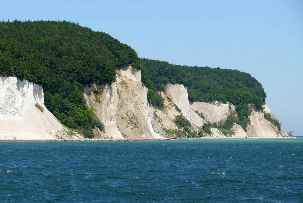 Kreidefelsen auf Rügen