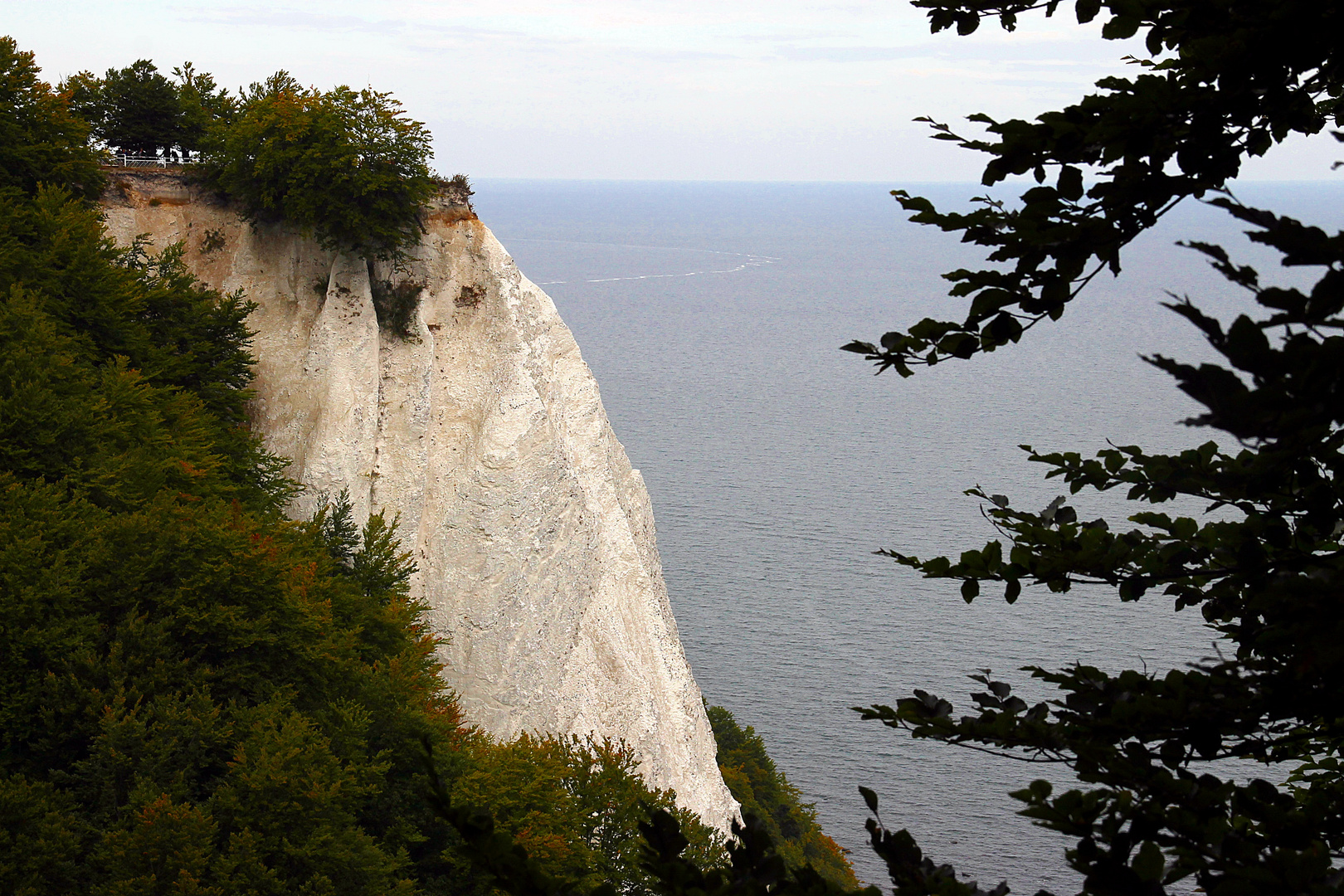 Kreidefelsen auf Rügen