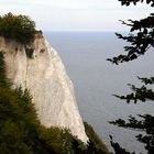 Kreidefelsen auf Rügen