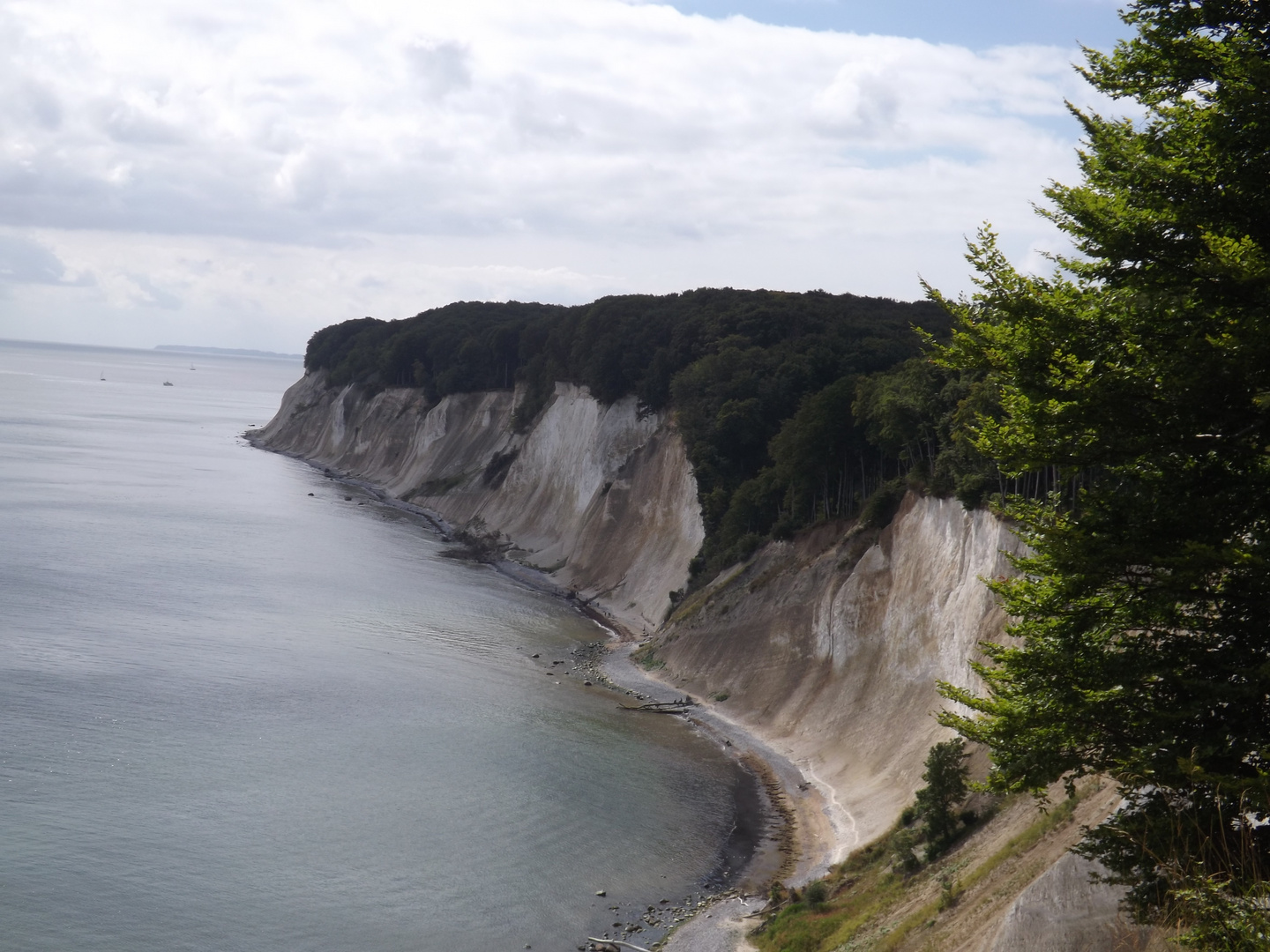 Kreidefelsen auf Rügen