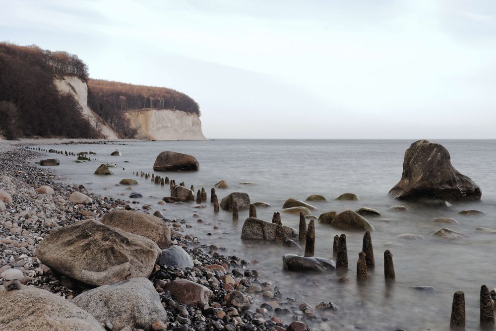 Kreidefelsen auf Rügen