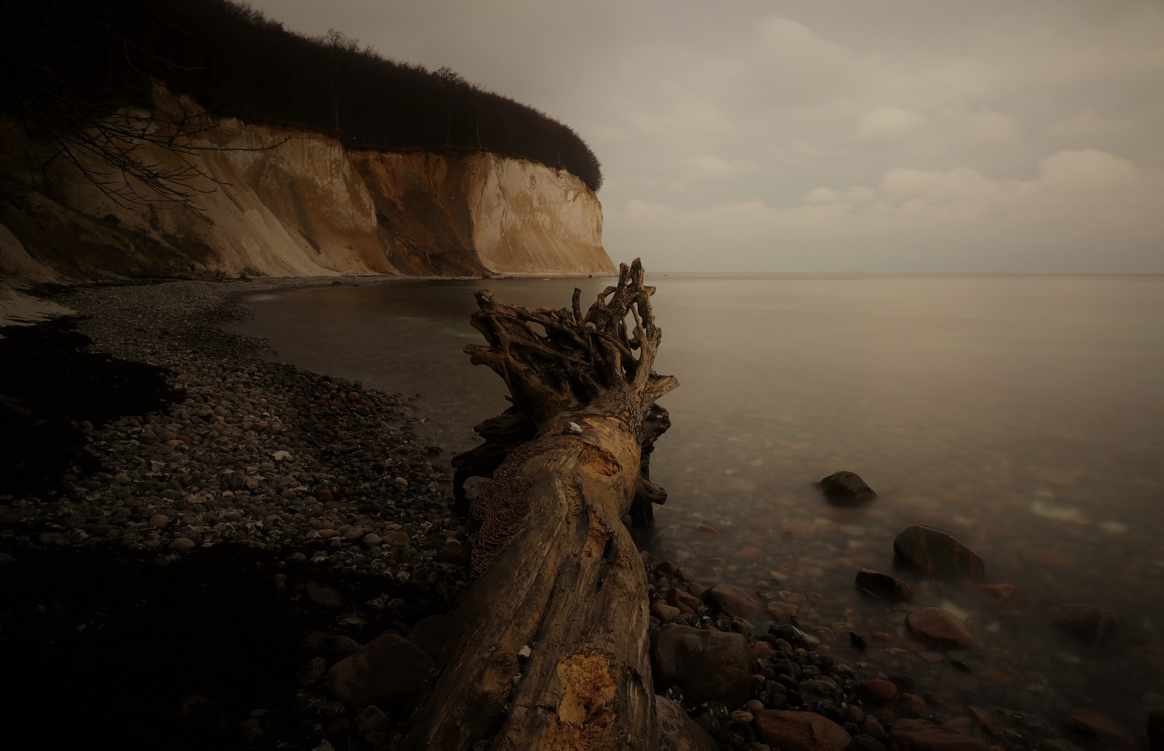 Kreidefelsen auf Rügen