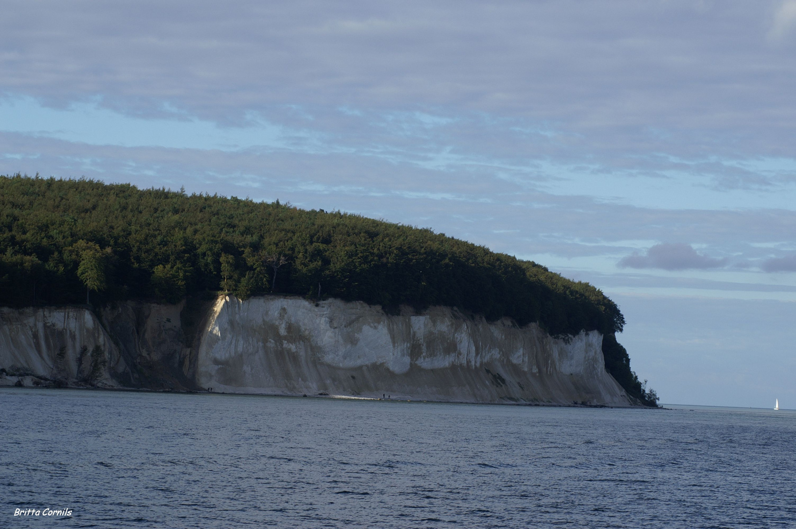 Kreidefelsen auf Rügen................