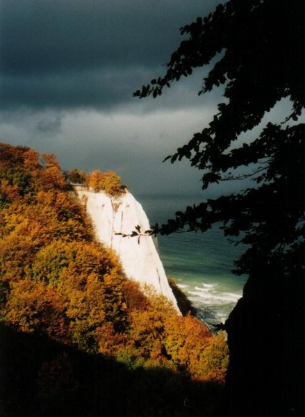 Kreidefelsen auf Rügen