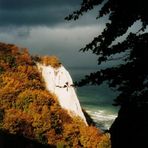 Kreidefelsen auf Rügen