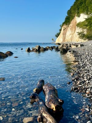 Kreidefelsen auf Rügen am Morgen