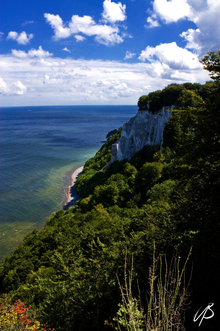 Kreidefelsen auf Rügen