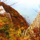 Kreidefelsen auf Rügen