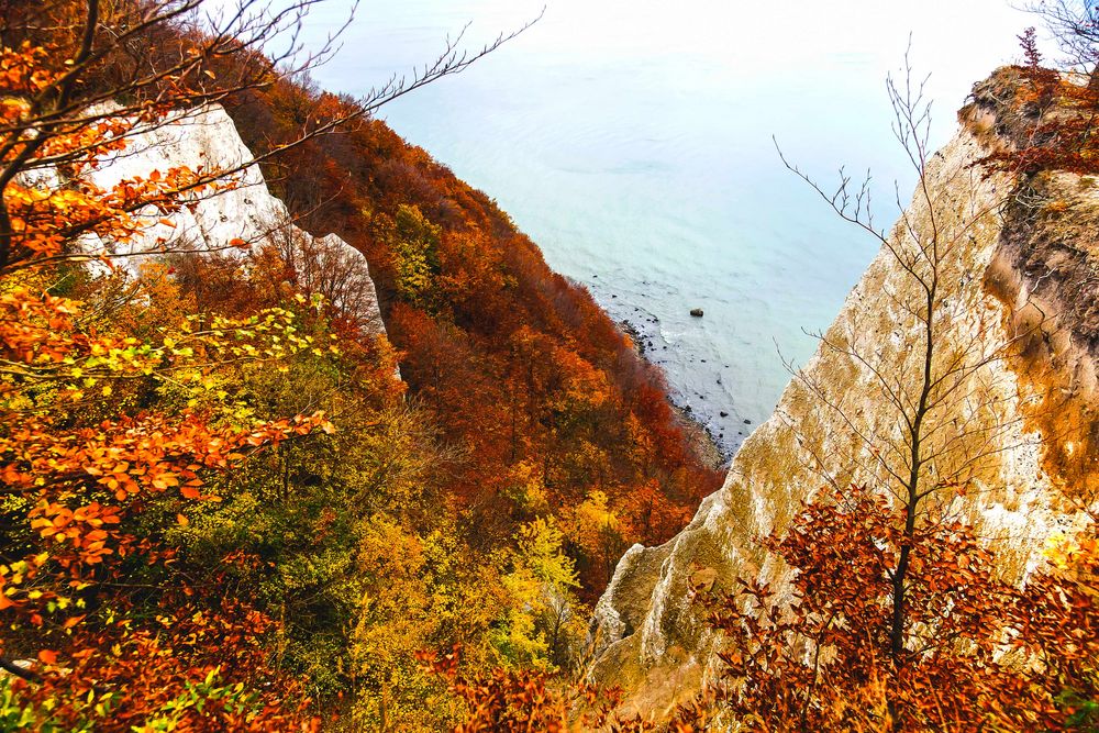 Kreidefelsen auf Rügen