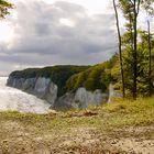 Kreidefelsen auf Rügen