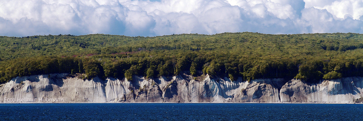 KREIDEFELSEN AUF RÜGEN