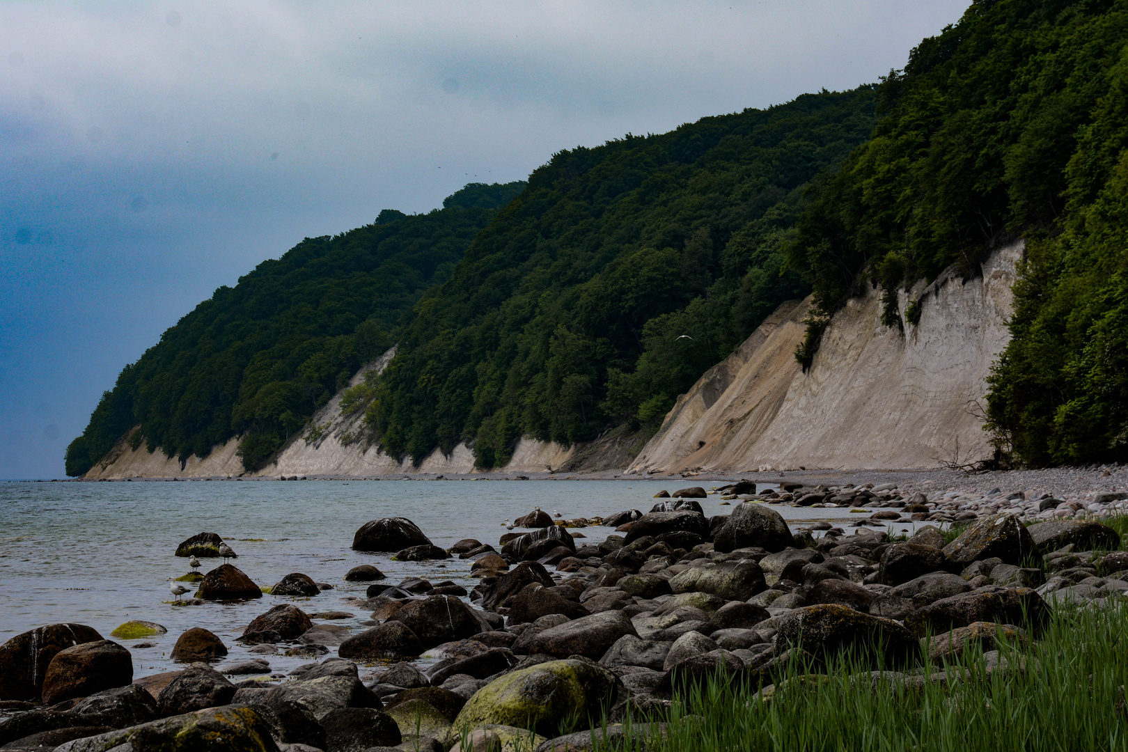 Kreidefelsen auf Rügen