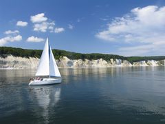 Kreidefelsen auf Rügen