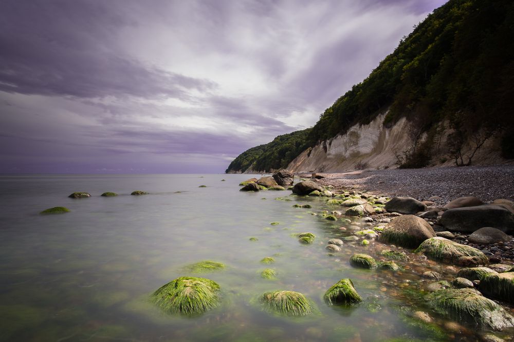 Kreidefelsen auf Rügen