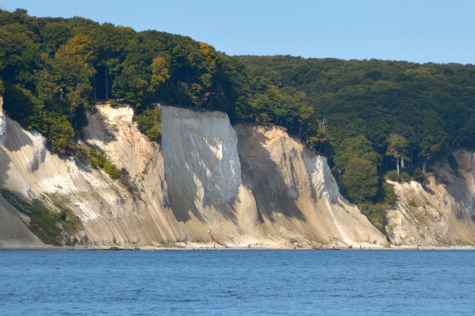 kreidefelsen auf rügen