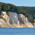 kreidefelsen auf rügen