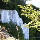 Kreidefelsen auf Rügen (Königsstuhl)