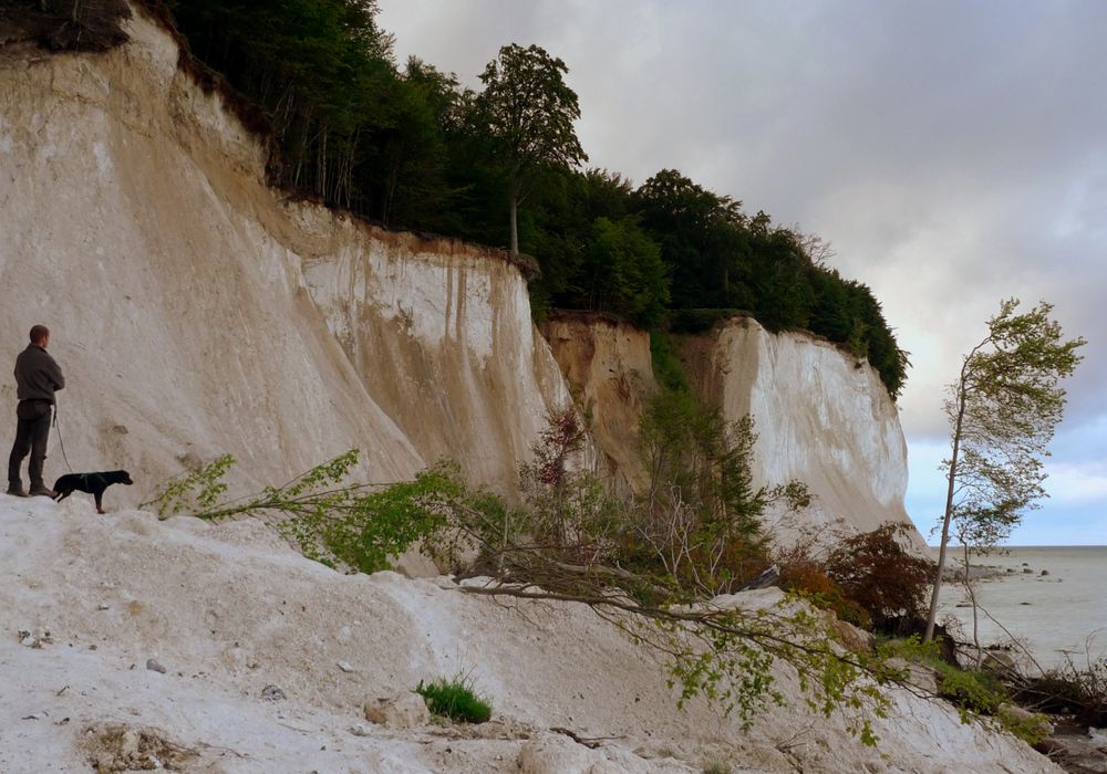 Kreidefelsen bei Stubbenkammer