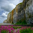 Kreidefelsen bei Étretat I