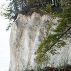 Kreidefelsen bröckelt