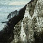 Kreidefelsen im Jasmund NP, Rügen.