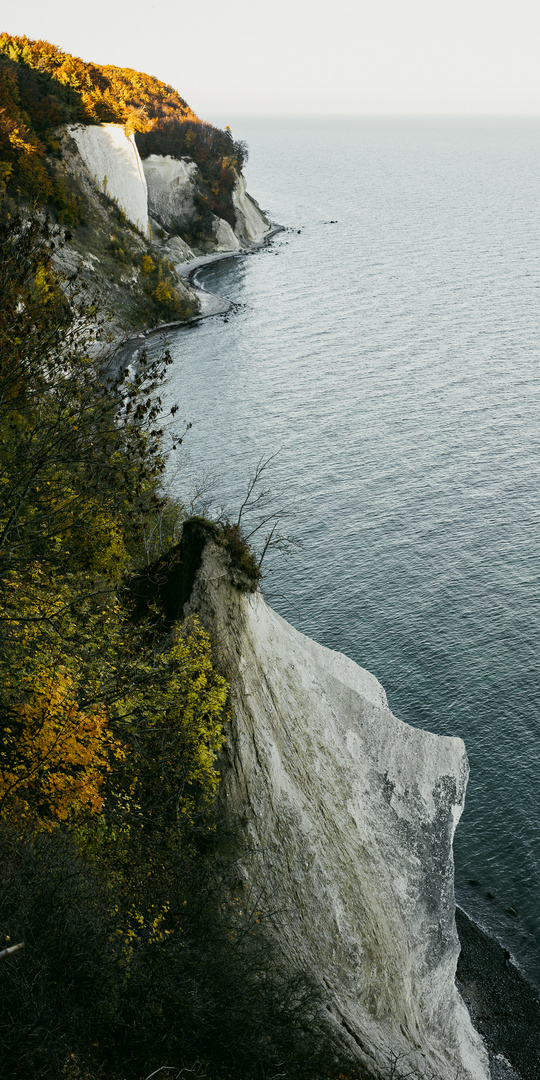 Kreidefelsen im Jasmund NP, Rügen.