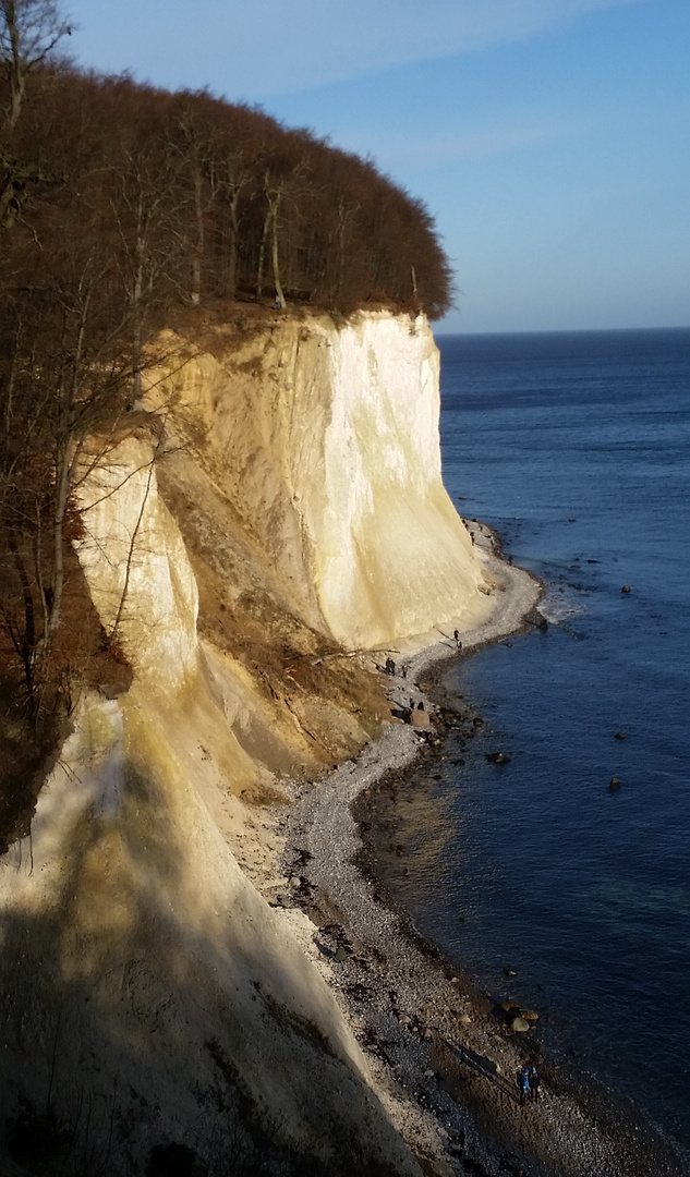 Kreidefelsen im Klaren Winterlicht