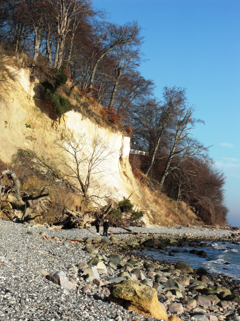 Kreidefelsen im Winter