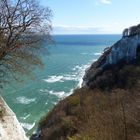 Kreidefelsen in Rügen - Blick auf die Viktoriasicht