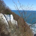 Kreidefelsen in Rügen -  Feuerregenfelsen