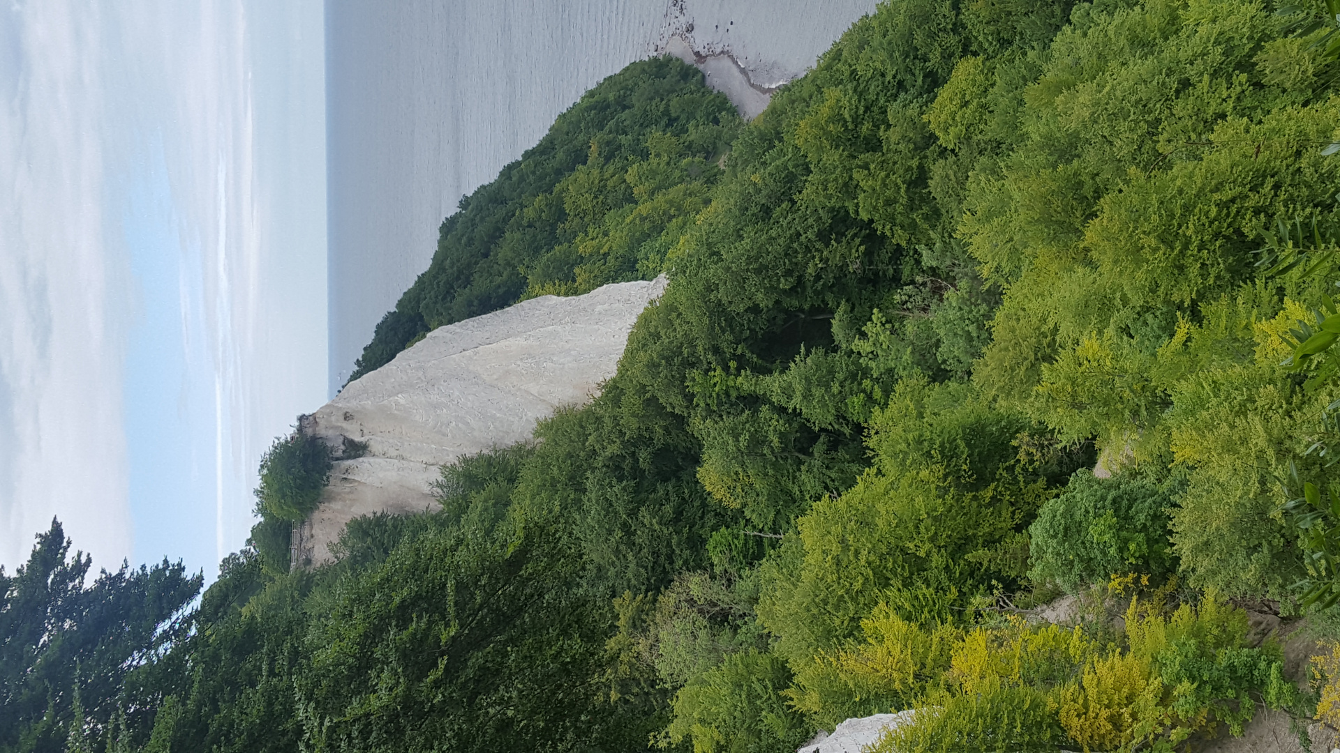 Kreidefelsen Insel Rügen