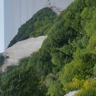 Kreidefelsen Insel Rügen