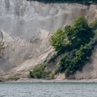 kreidefelsen insel rügen