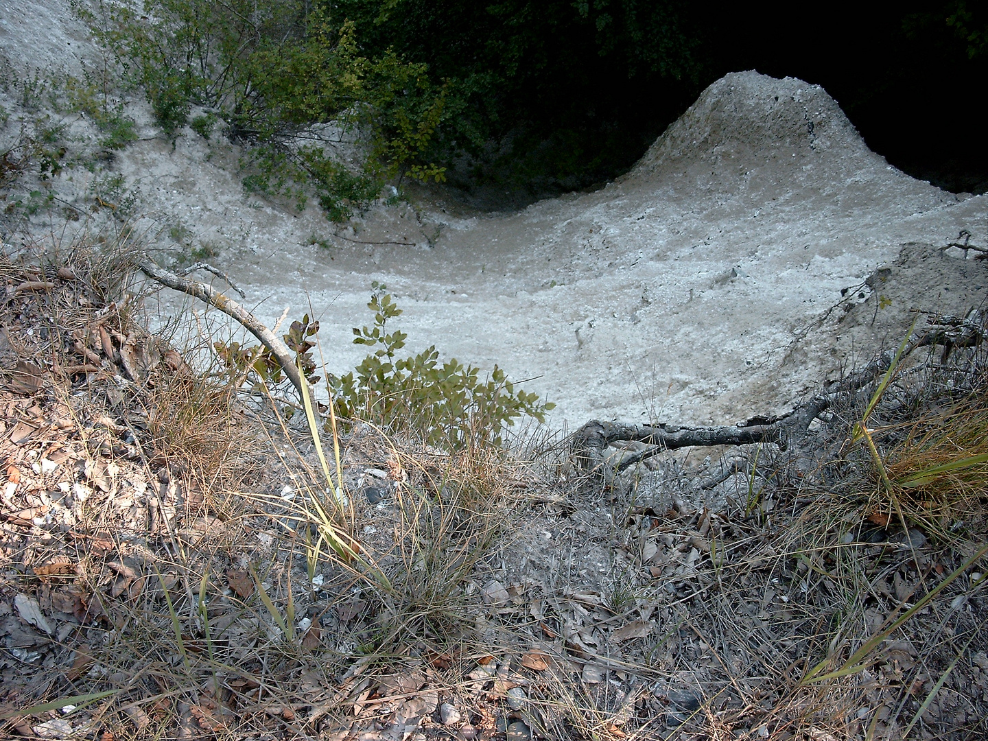 Kreidefelsen Insel Rügen