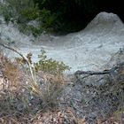 Kreidefelsen Insel Rügen