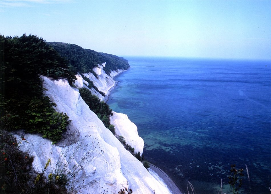 Kreidefelsen Møn